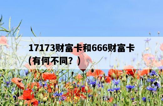 17173財富卡和666財富卡，有何不同？-圖1