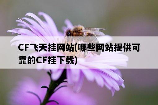 CF飛天掛網站，哪些網站提供可靠的CF掛下載-圖1