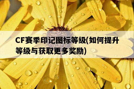 CF賽季印記圖標等級，如何提升等級與獲取更多獎勵-圖1