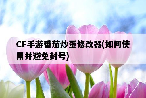 CF手游番茄炒蛋修改器，如何使用并避免封號-圖1