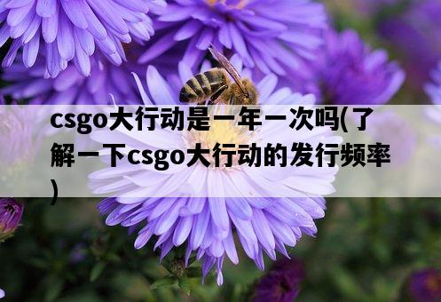 csgo大行動是一年一次嗎，了解一下csgo大行動的發行頻率-圖1