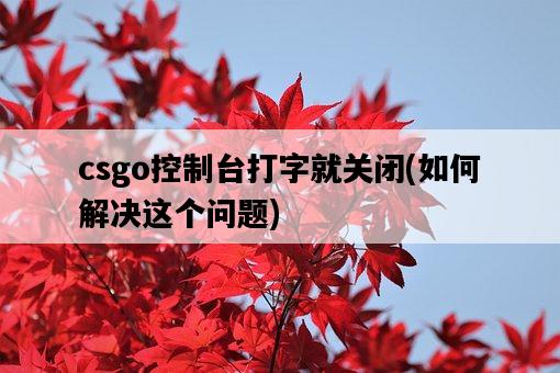 csgo控制臺打字就關閉，如何解決這個問題-圖1