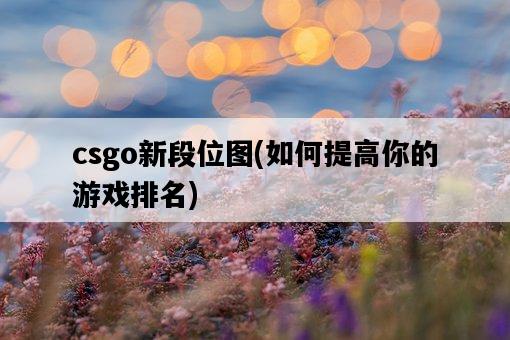 csgo新段位圖，如何提高你的游戲排名-圖1