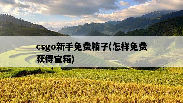 csgo新手免費箱子，怎樣免費獲得寶箱-圖1