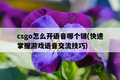 csgo怎么開語音哪個鍵，快速掌握游戲語音交流技巧-圖1
