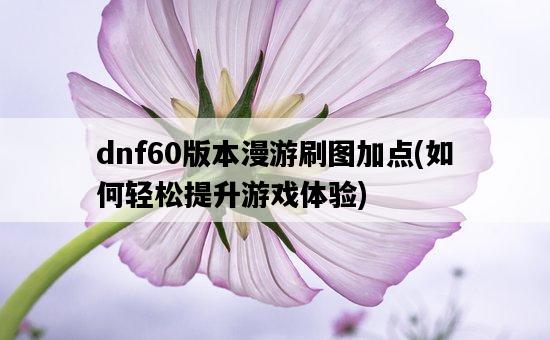 dnf60版本漫游刷圖加點，如何輕松提升游戲體驗-圖1