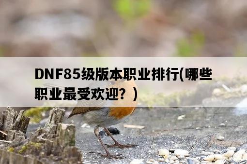DNF85級版本職業排行，哪些職業最受歡迎？-圖1