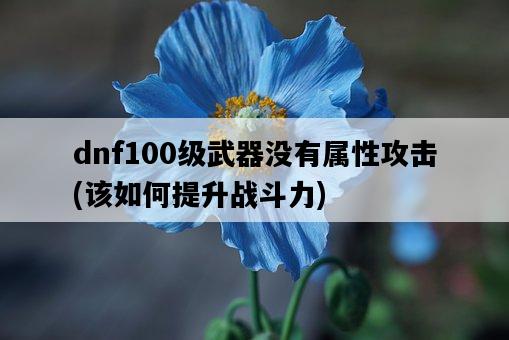 dnf100級武器沒有屬性攻擊，該如何提升戰斗力-圖1