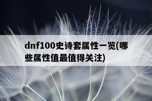 dnf100史詩套屬性一覽，哪些屬性值最值得關注-圖1