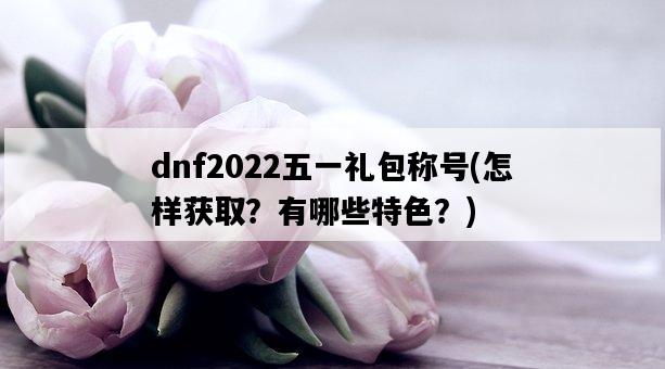dnf2022五一禮包稱號，怎樣獲取？有哪些特色？-圖1