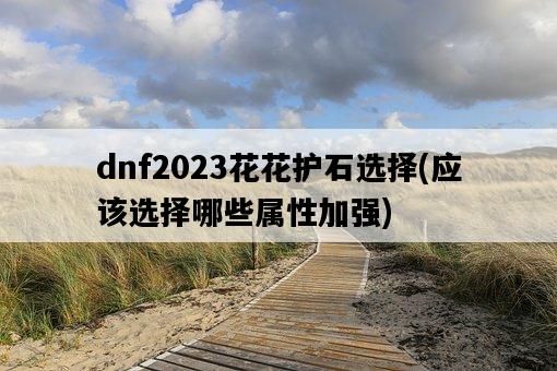 dnf2023花花護石選擇，應該選擇哪些屬性加強-圖1