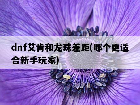 dnf艾肯和龍珠差距，哪個更適合新手玩家-圖1