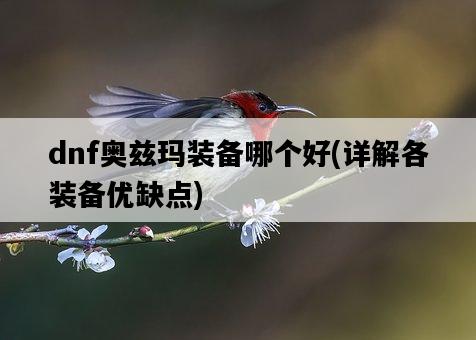 dnf奧茲瑪裝備哪個好，詳解各裝備優缺點-圖1