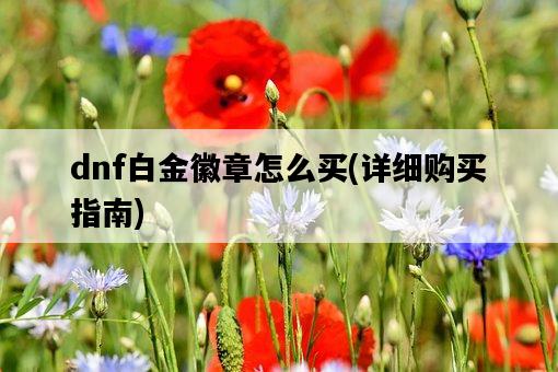 dnf白金徽章怎么買，詳細購買指南-圖1