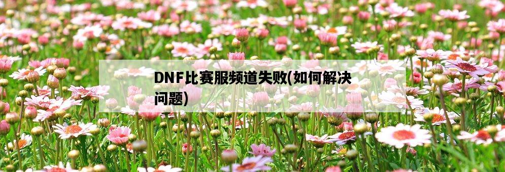 DNF比賽服頻道失敗，如何解決問題-圖1