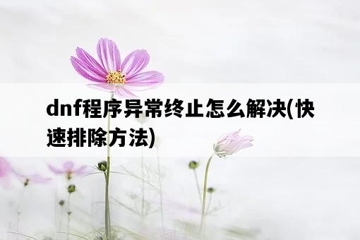 dnf程序異常終止怎么解決，快速排除方法-圖1