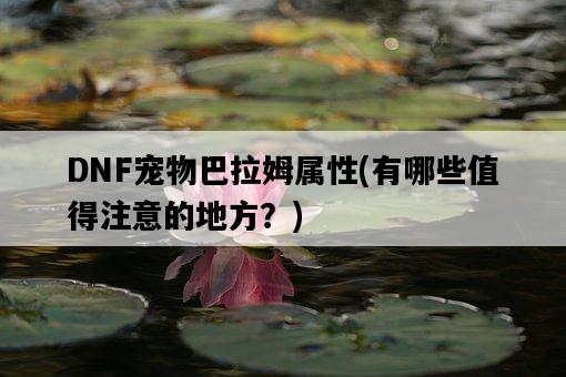 DNF寵物巴拉姆屬性，有哪些值得注意的地方？-圖1