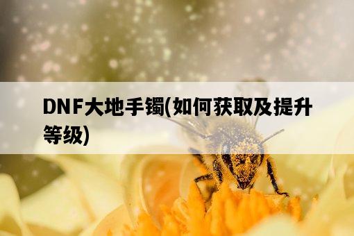 DNF大地手鐲，如何獲取及提升等級-圖1