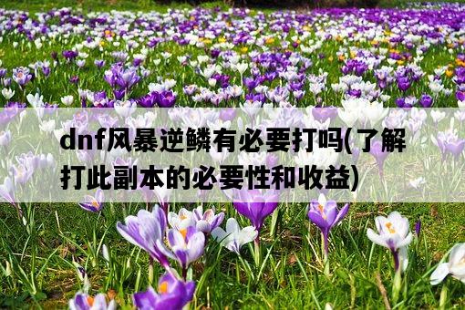dnf風暴逆鱗有必要打嗎，了解打此副本的必要性和收益-圖1