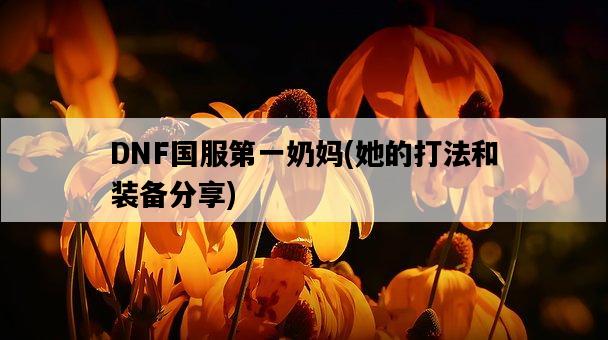 DNF國服第一奶媽，她的打法和裝備分享-圖1