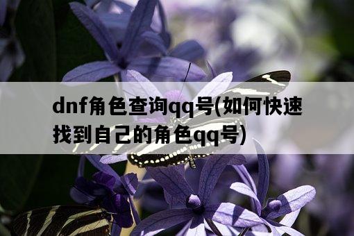 dnf角色查詢qq號，如何快速找到自己的角色qq號-圖1
