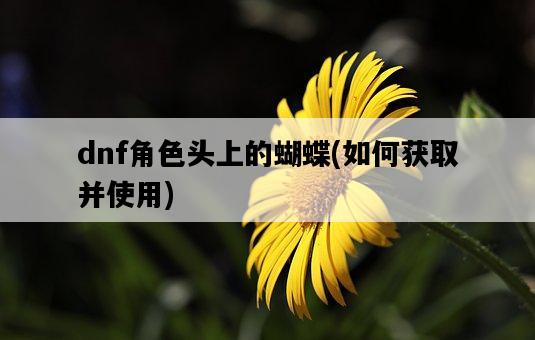 dnf角色頭上的蝴蝶，如何獲取并使用-圖1