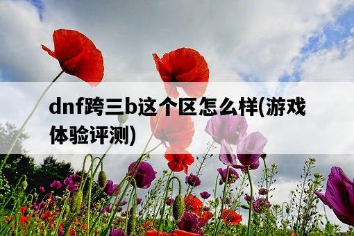 dnf跨三b這個區怎么樣，游戲體驗評測-圖1