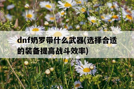 dnf奶羅帶什么武器，選擇合適的裝備提高戰斗效率-圖1