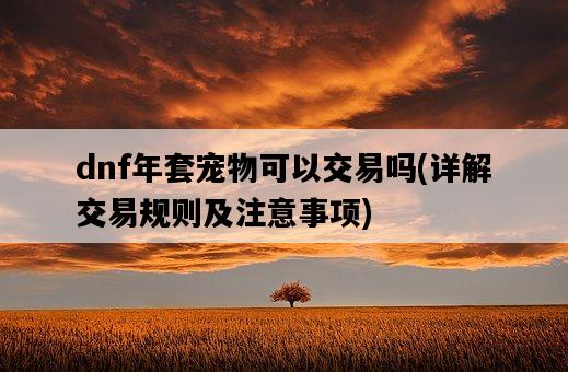 dnf年套寵物可以交易嗎，詳解交易規則及注意事項-圖1