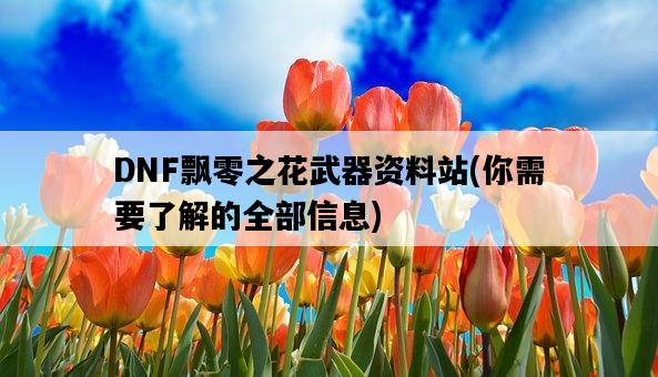 DNF飄零之花武器資料站，你需要了解的全部信息-圖1