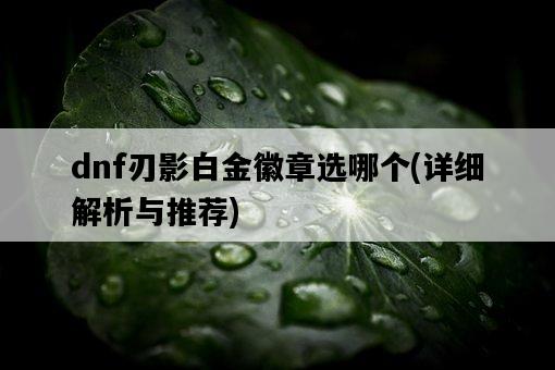 dnf刃影白金徽章選哪個，詳細解析與推薦-圖1