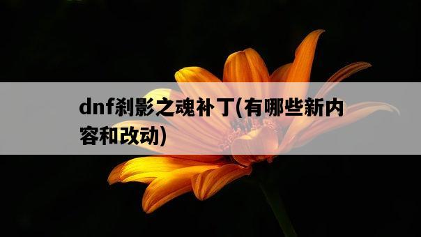 dnf剎影之魂補丁，有哪些新內容和改動-圖1