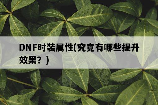 DNF時裝屬性，究竟有哪些提升效果？-圖1