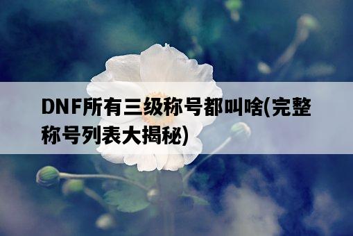 DNF所有三級稱號都叫啥，完整稱號列表大揭秘-圖1