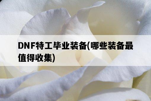 DNF特工畢業裝備，哪些裝備最值得收集-圖1