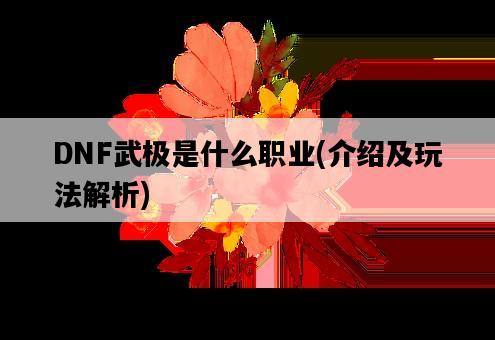 DNF武極是什么職業，介紹及玩法解析-圖1