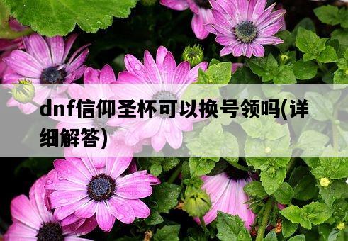 dnf信仰圣杯可以換號領嗎，詳細解答-圖1
