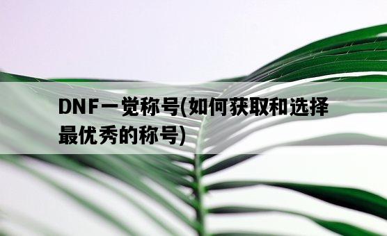 DNF一覺稱號，如何獲取和選擇最優秀的稱號-圖1