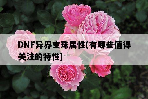 DNF異界寶珠屬性，有哪些值得關注的特性-圖1