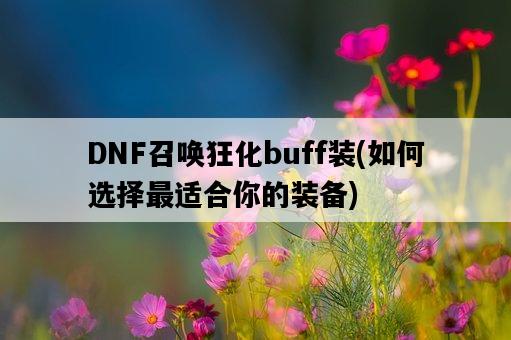 DNF召喚狂化buff裝，如何選擇最適合你的裝備-圖1