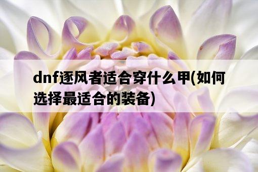 dnf逐風者適合穿什么甲，如何選擇最適合的裝備-圖1