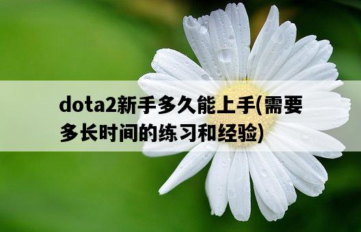 dota2新手多久能上手，需要多長時間的練習和經驗-圖1