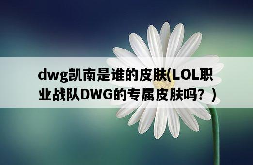 dwg凱南是誰的皮膚，LOL職業戰隊DWG的專屬皮膚嗎？-圖1