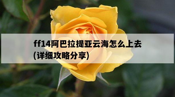 ff14阿巴拉提亞云海怎么上去，詳細攻略分享-圖1