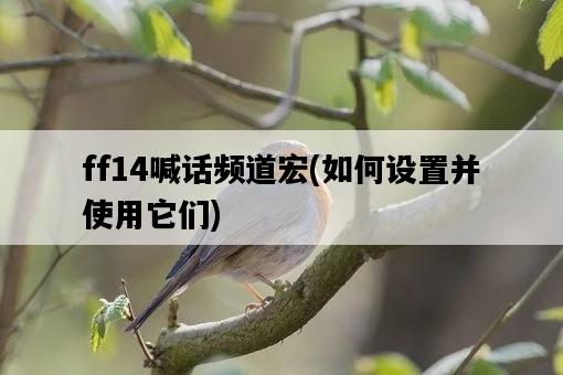 ff14喊話頻道宏，如何設置并使用它們-圖1
