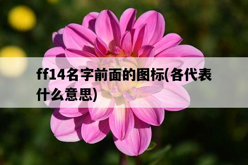 ff14名字前面的圖標，各代表什么意思-圖1