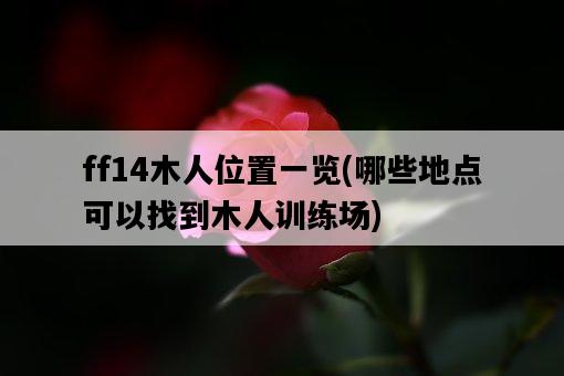 ff14木人位置一覽，哪些地點可以找到木人訓練場-圖1