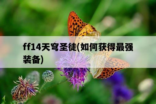 ff14天穹圣徒，如何獲得最強裝備-圖1