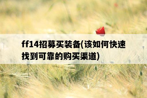 ff14招募買裝備，該如何快速找到可靠的購買渠道-圖1