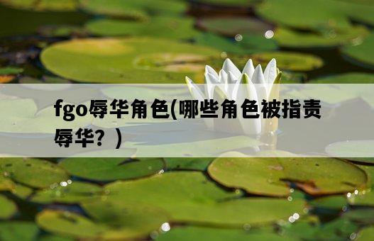 fgo辱華角色，哪些角色被指責辱華？-圖1